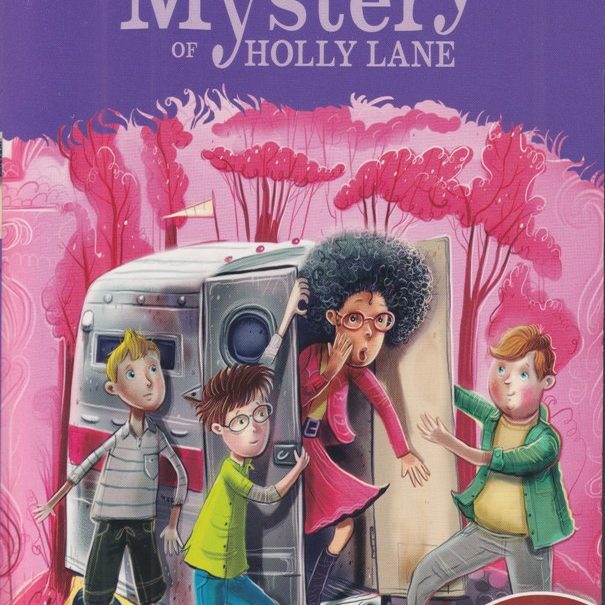 Enid Blyton -The Mystery of Holly Lane -The Find-Outers – Children's ...